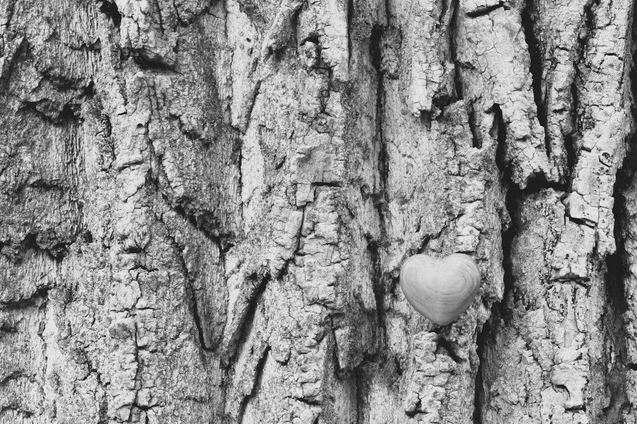 Crafting Captivating Headlines: Your awesome post title goes here Black and white image of a heart shape carved into tree bark, symbolizing love and nature.