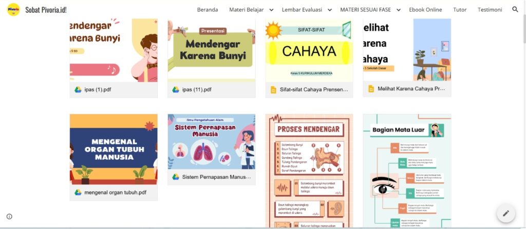 tampilan web
